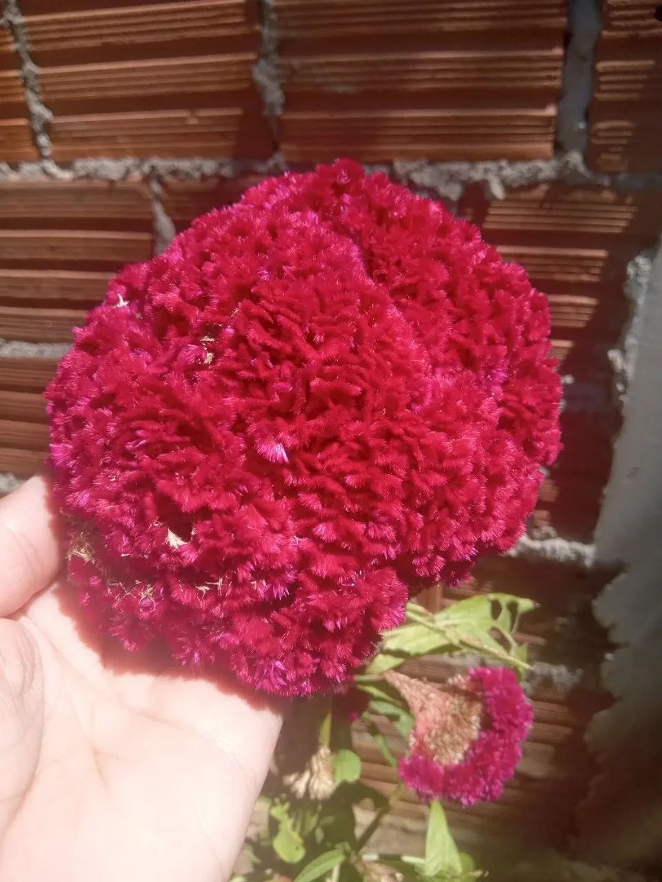 Flores para buquê dia das mães  - Foto 5