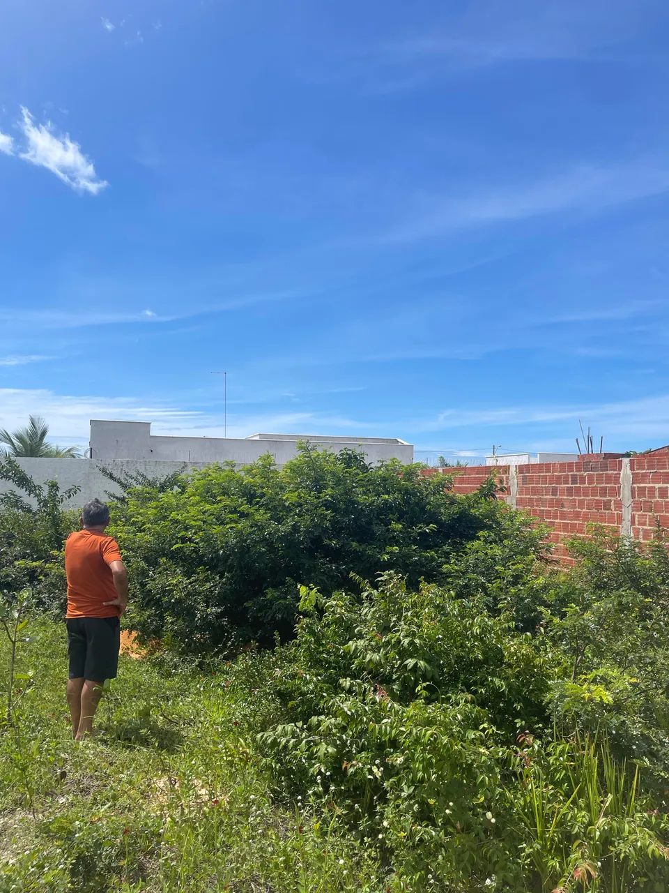 Terreno com documentação 8x25  - Foto 2