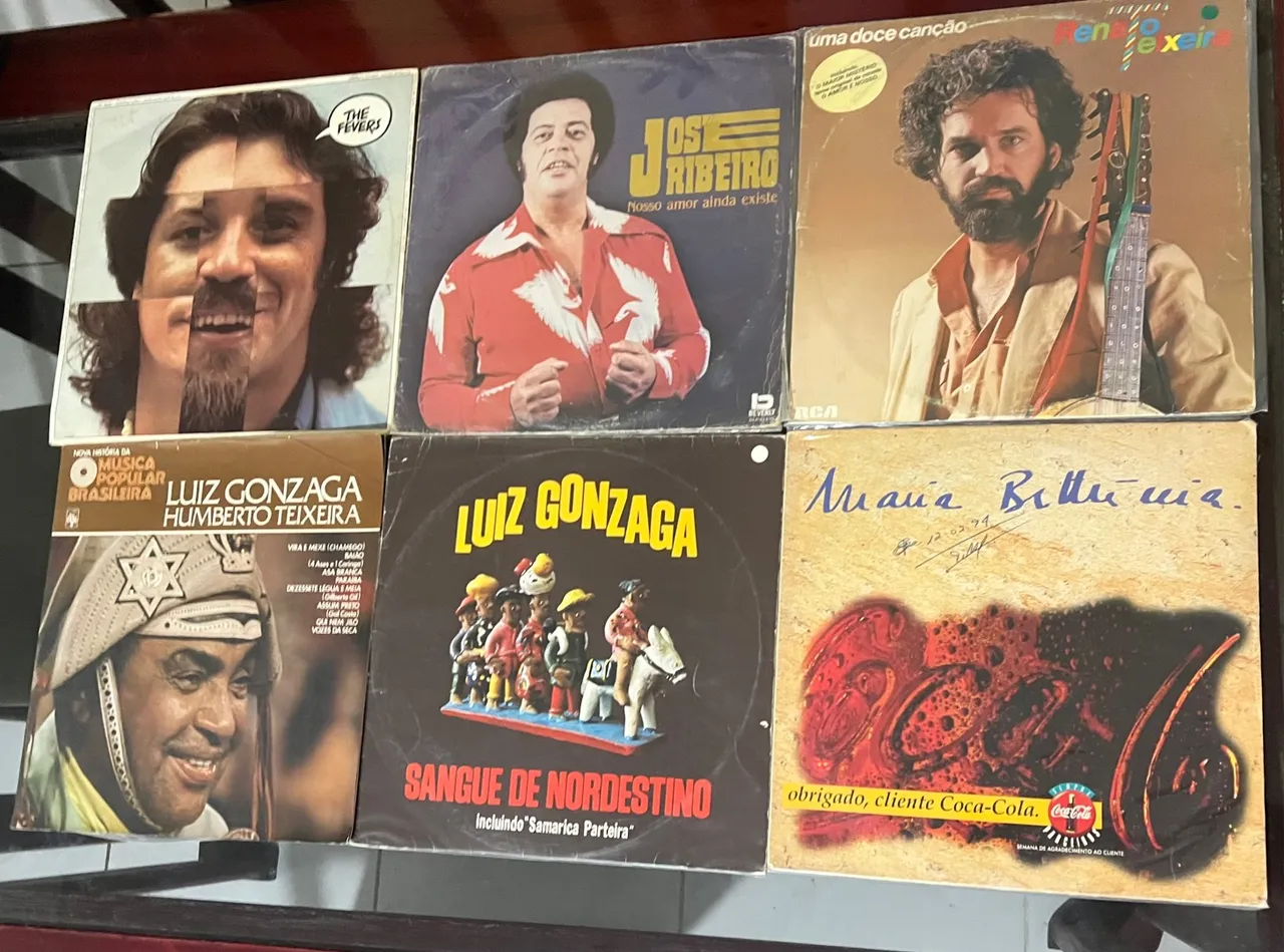 Discos de Vinil (LPs) de gêneros variados