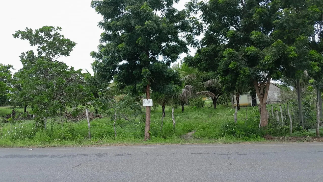 Terreno