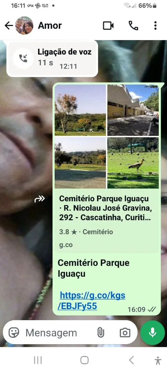 Jazigo cemitério parque Iguaçu. 10.000,00