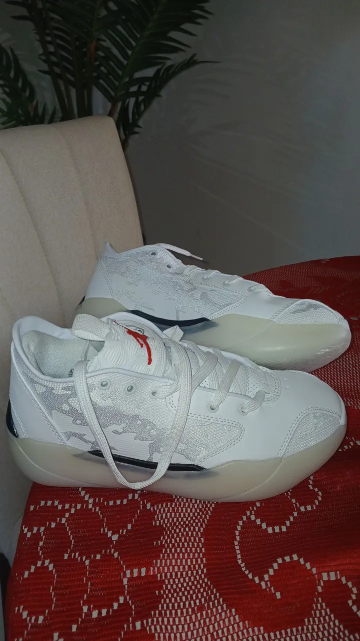 Tênis Nike air Jordan 41
