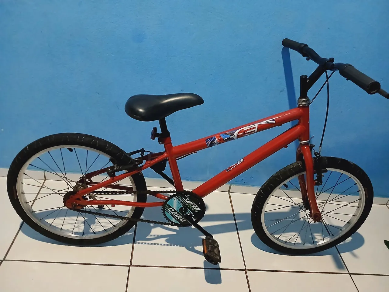 Bicicleta Infantil (Aro 20)