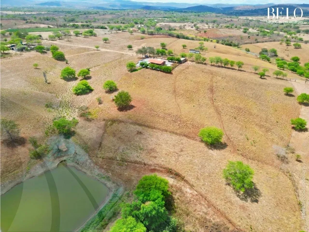 Fazenda com 42 Hectares em Pernambuco - Foto 5