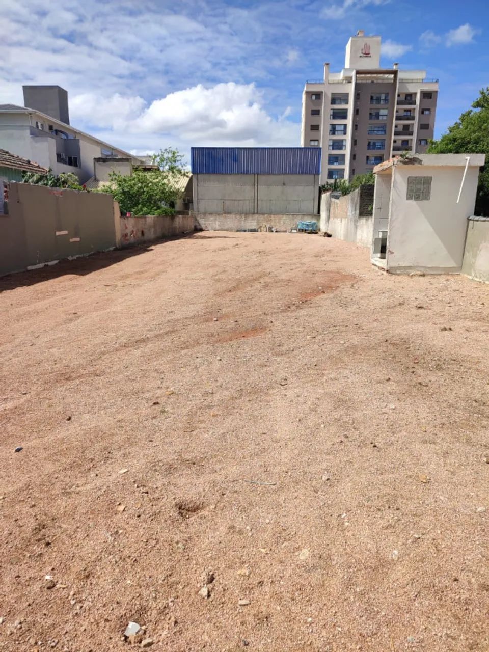 Foto - Tubarão - Santo Antônio de Pádua