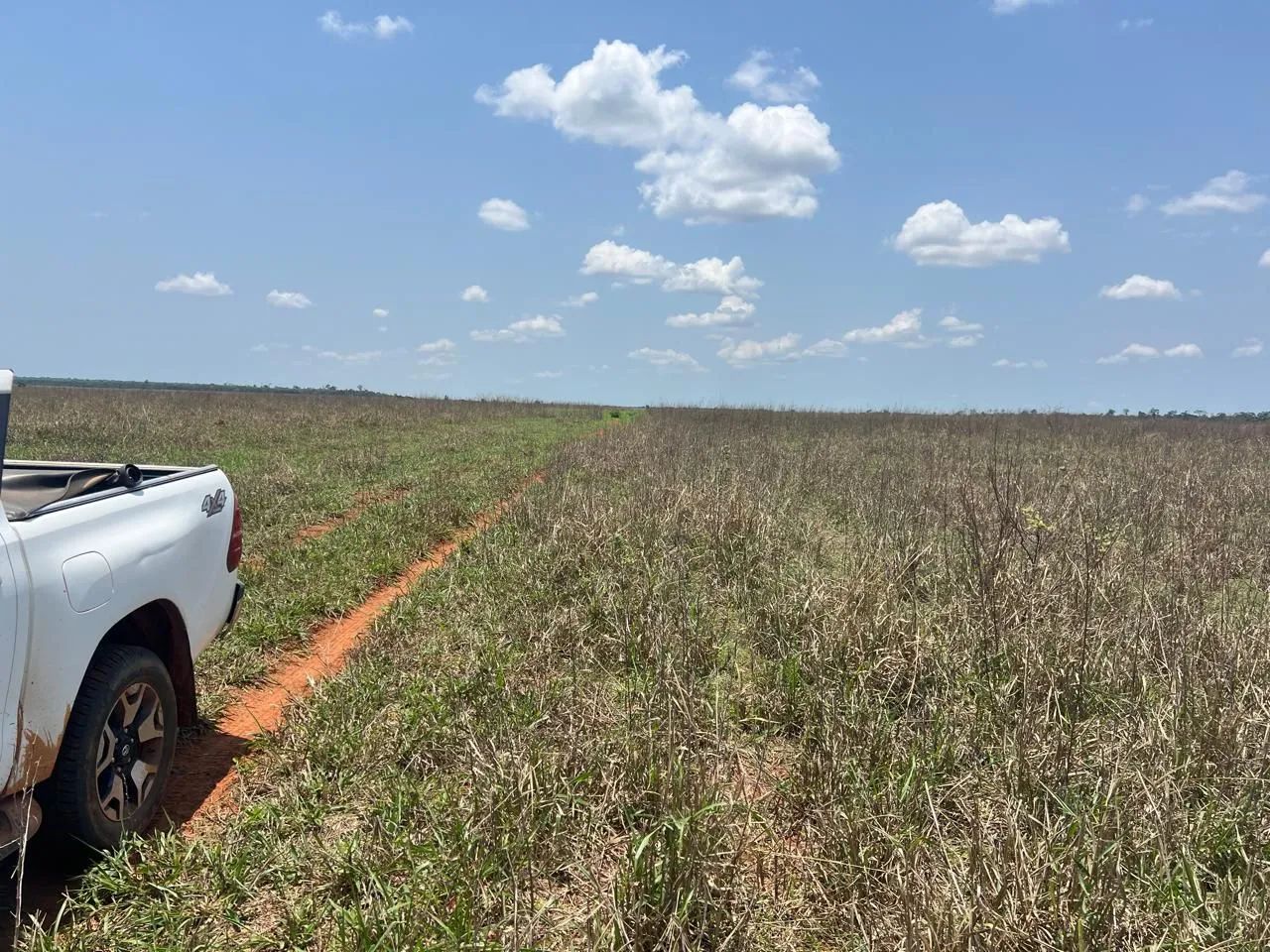 Fazenda arrendamento 925hec em pasto, na região dos baianos MT.  - Foto 8
