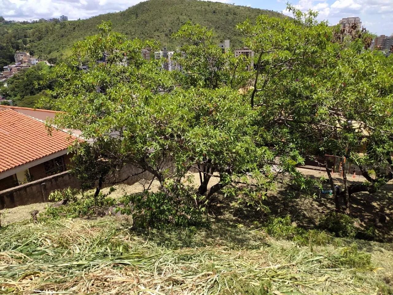 Lote à venda, Comiteco - Belo Horizonte/MG
