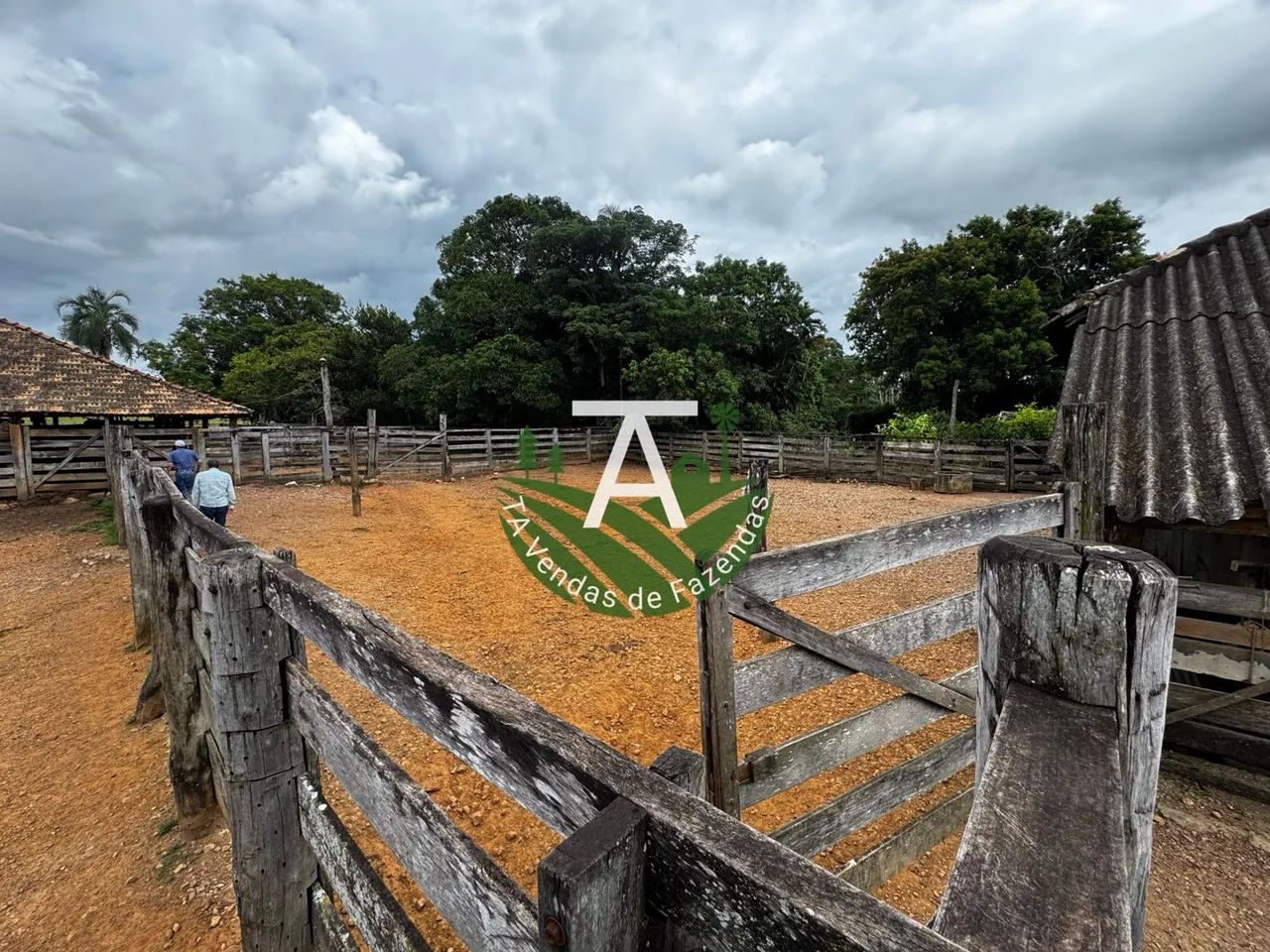 Fazenda de 192 alq em Ipameri-GO - Foto 4