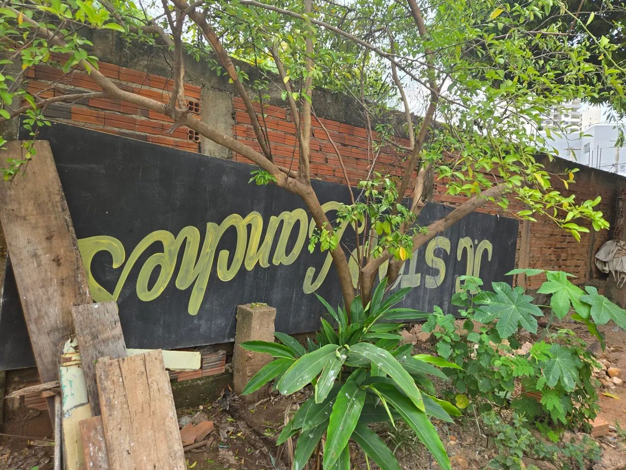 FACHADA PARA COMERCIO 200$