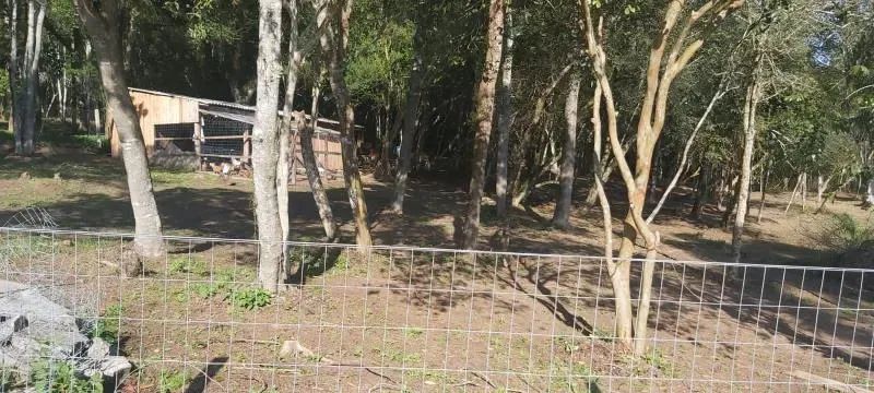 Velleda oferece magnífico sítio com açude próximo ao centro de Viamão - Foto 4