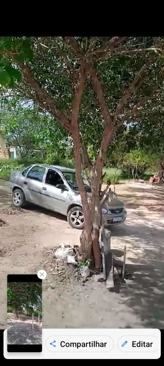 12 tarefas+ casa avenda  - Foto 4