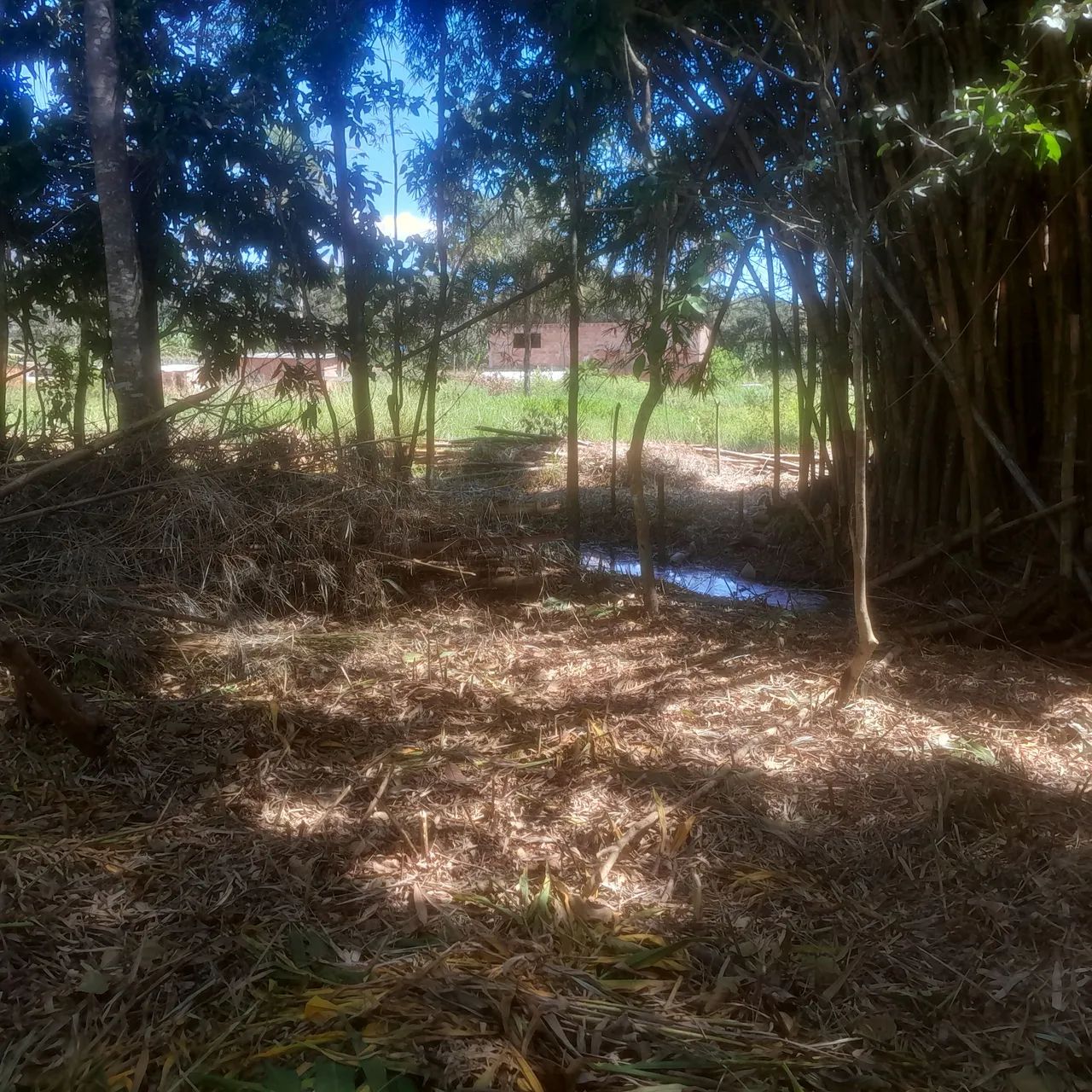 Terreno com lagoa em serra azul  - Foto 4