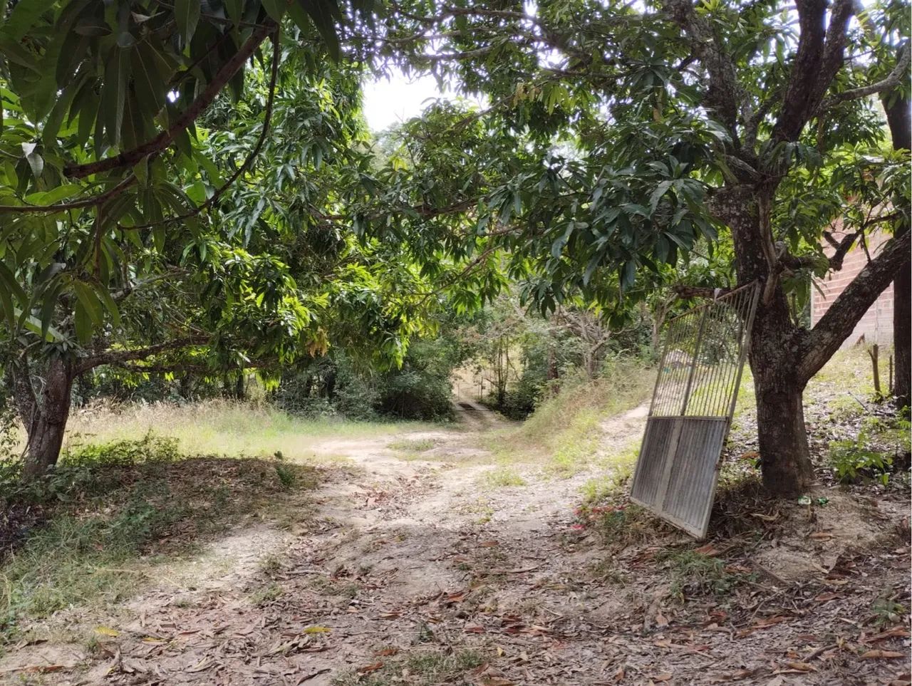 Chácara em Aragoiania 1 alqueire  - Foto 4