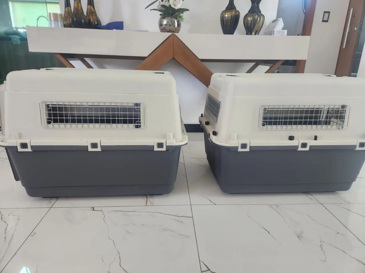 CAIXA TRANSPORTE PET - Foto 6