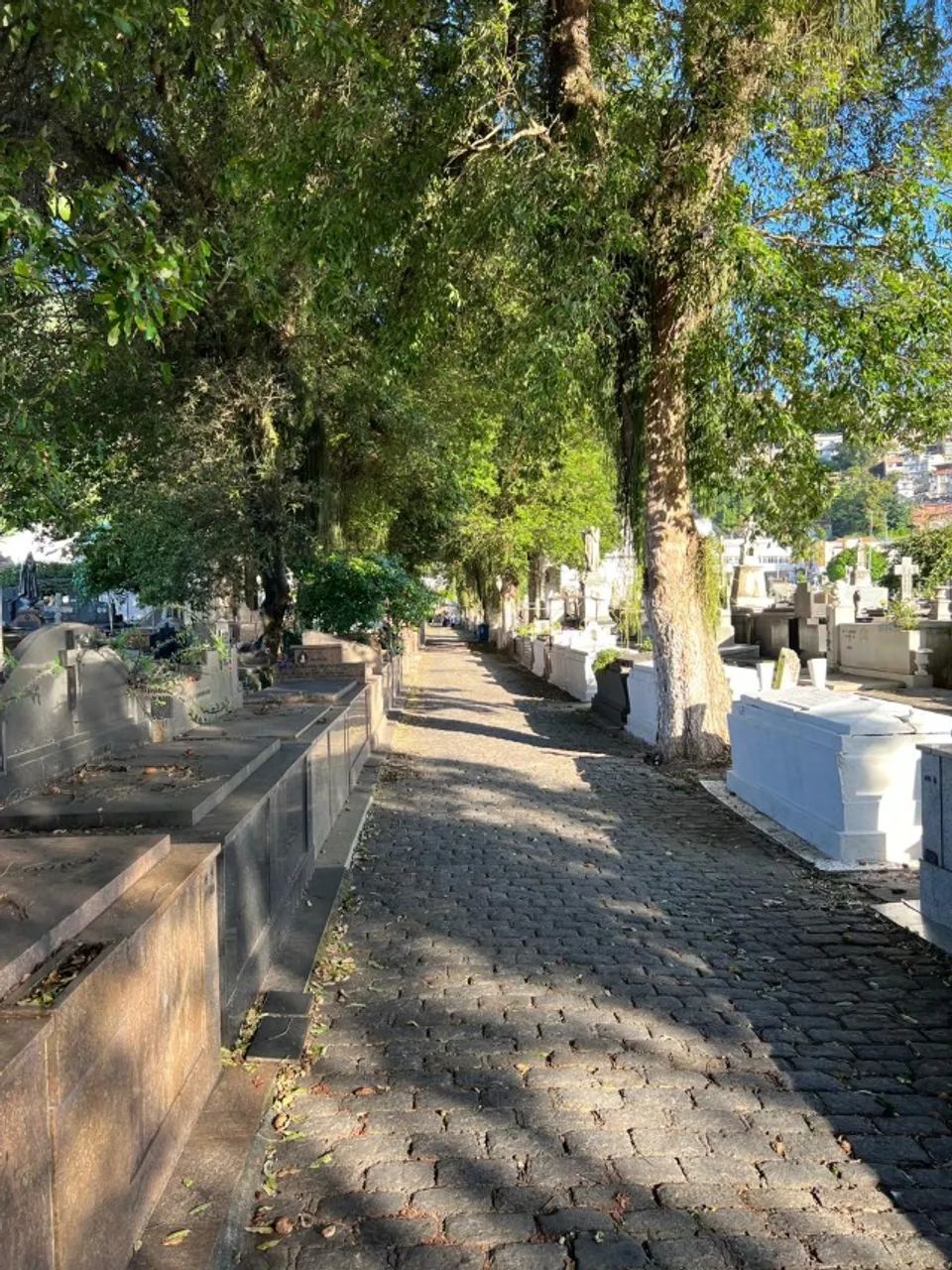 Jazigo Cemitério São João Batista - Foto 2