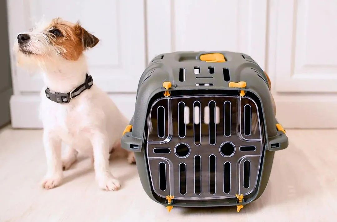 Caixa para transporte de cães e gatos Jet 10