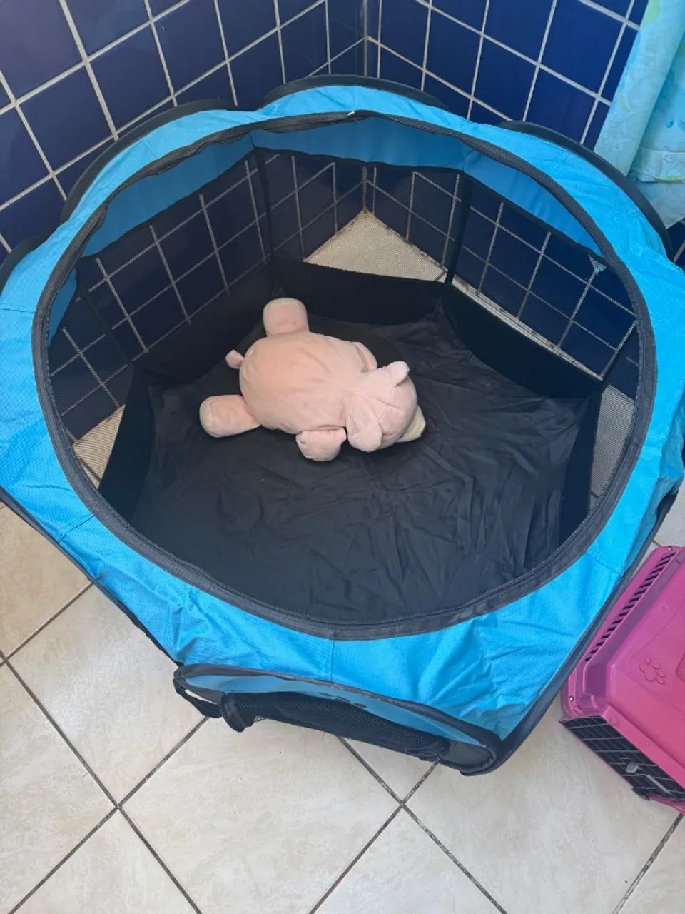 Kit Pet Filhote - Foto 4