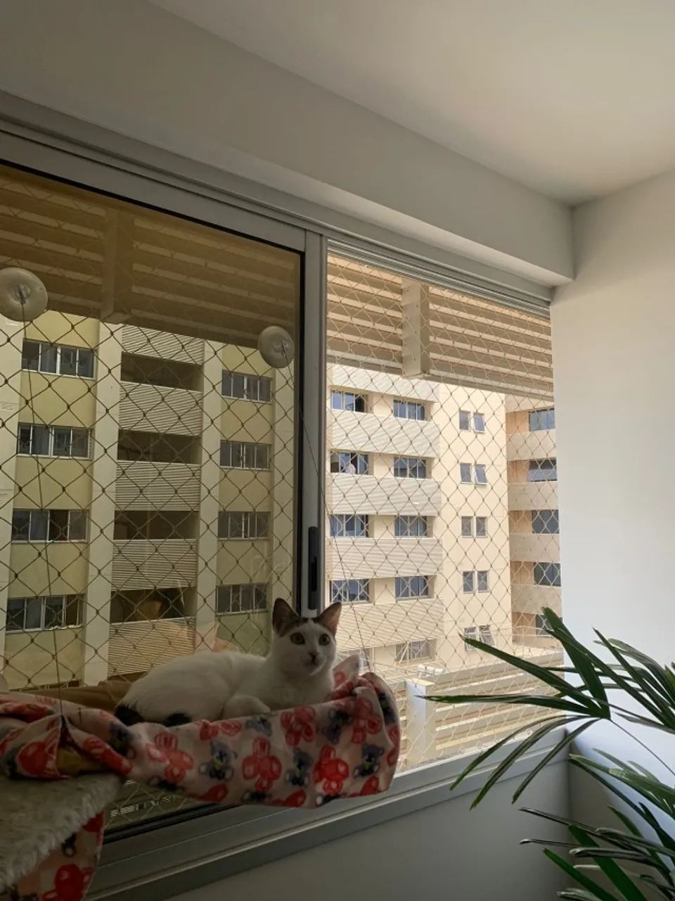 telas de proteção - Foto 4