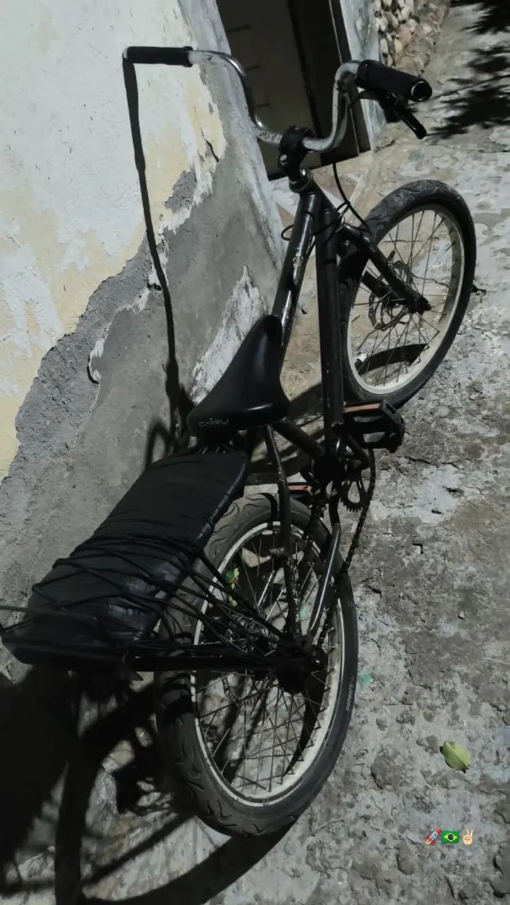 bike aro 20
