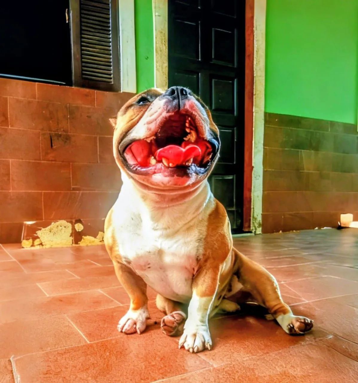 Disponível  - Foto 2