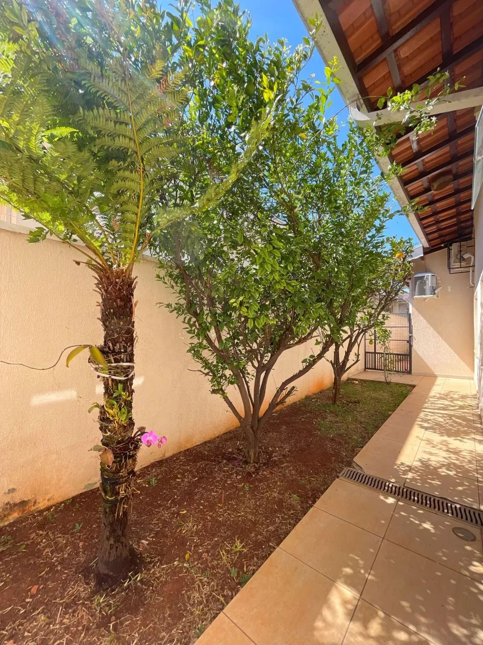 Sala Comercial para Locação no Jardim Chapadão - Campinas, SP - Foto 3