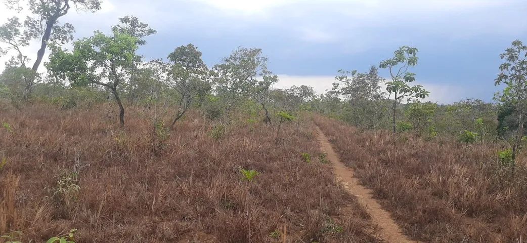 Terreno Torrão do Matapi  - Foto 3