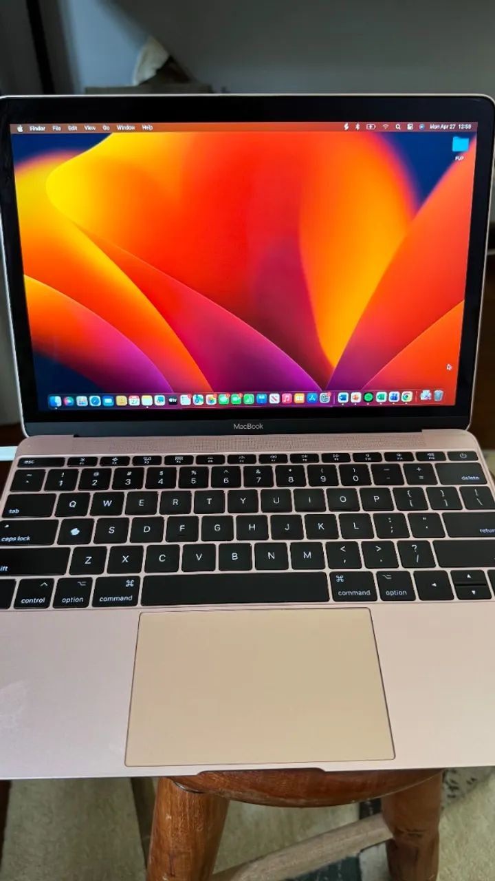 MacBook本体 MacBook (Retina, 12-inch, 2017) MacBook (Retina) 12 polegadas de 2017 - super conservado