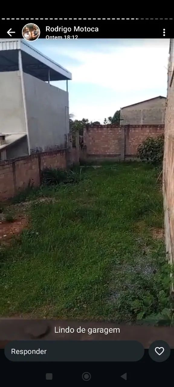 Foto - Contagem - Novo Progresso
