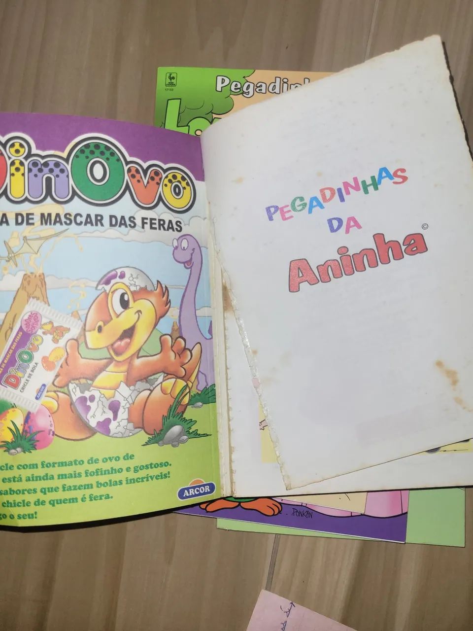 Pegadinhas da Aninha e Louro José - Foto 3