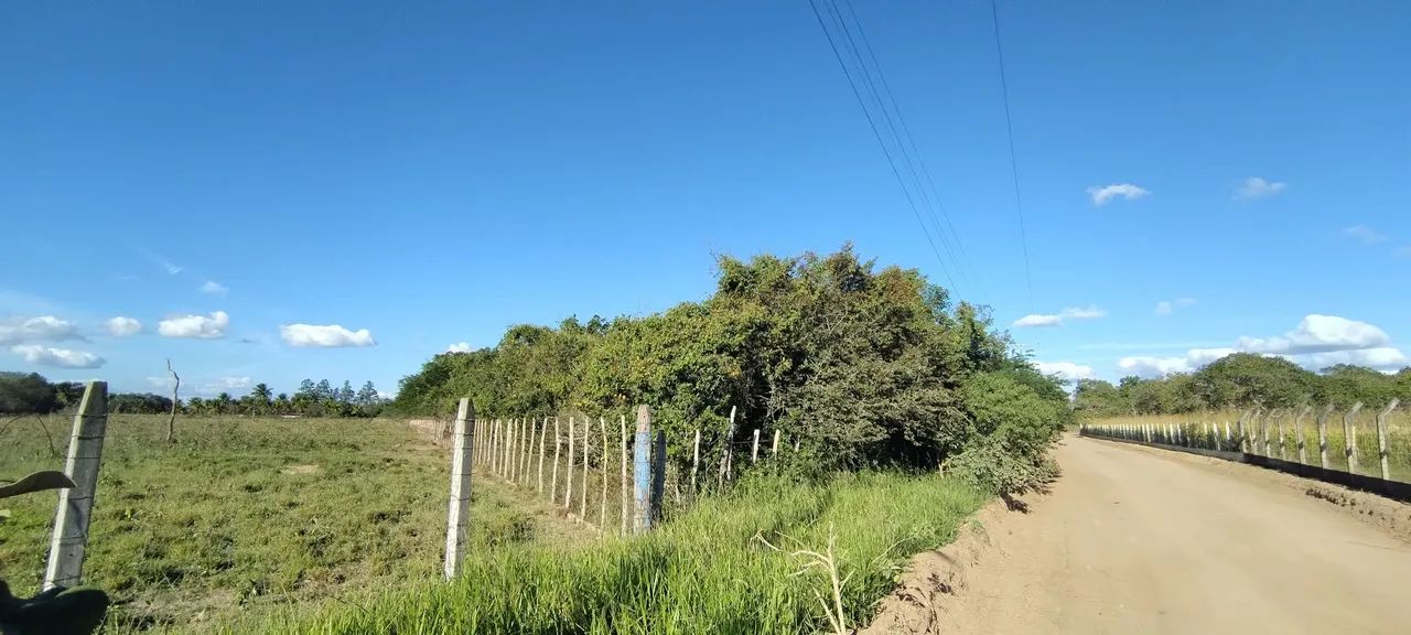 6 tarefas de terra  - Foto 3