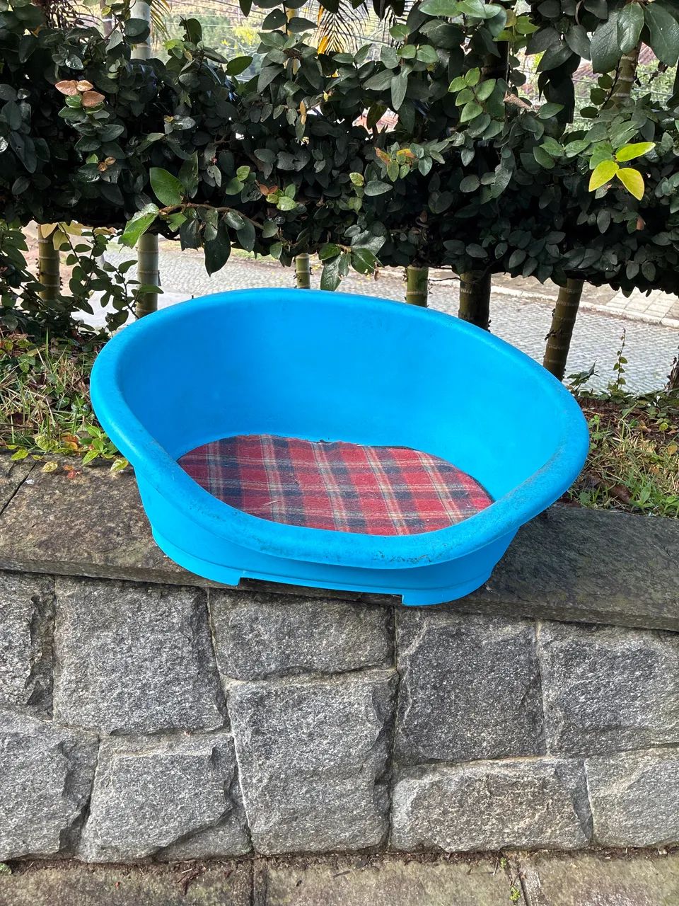 Cama Plástica com Almofada para Cachorro 