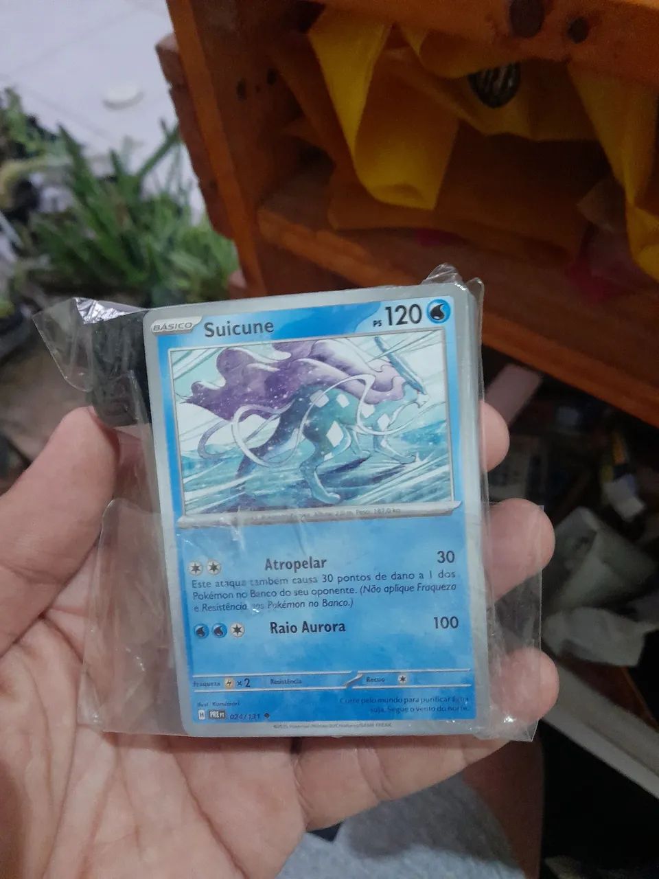 Deck pokemon  Suicune 50 cartas + 2 dados dano