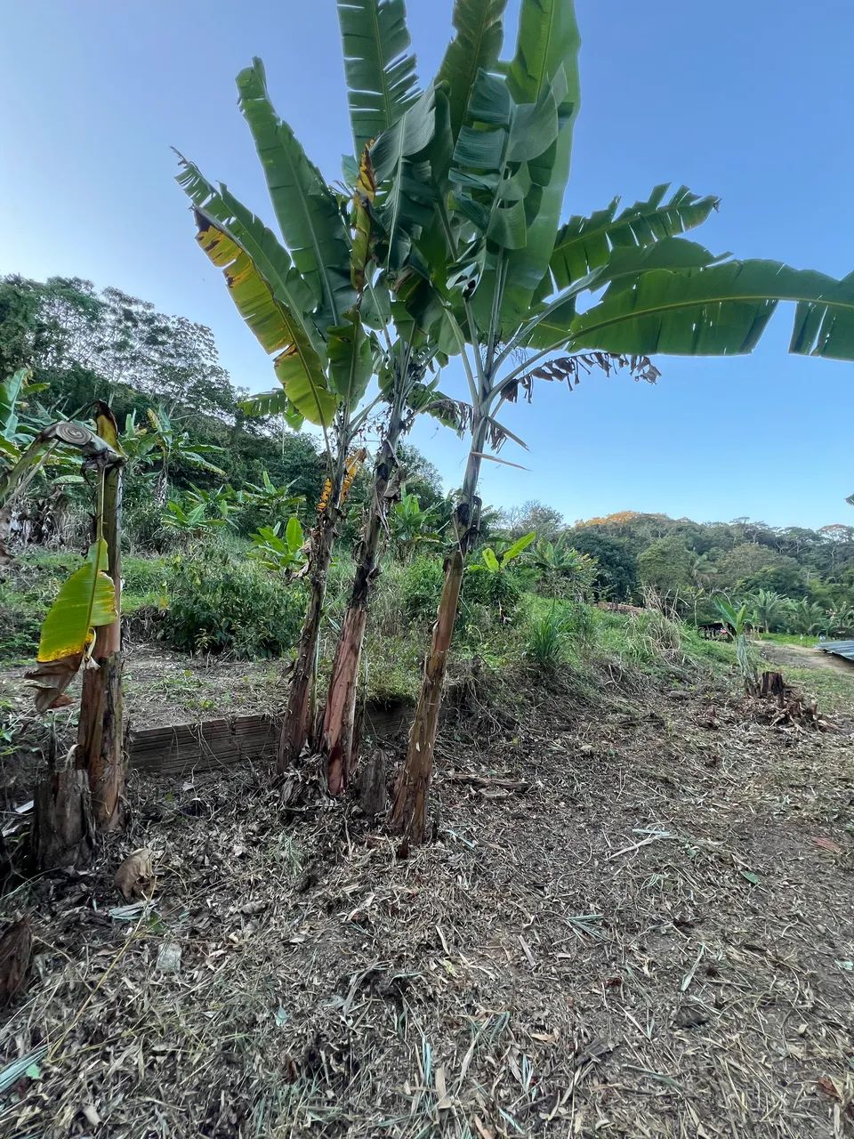 TERRENO 15x20 EM PACOTI! Pagamento facilitado - Foto 2