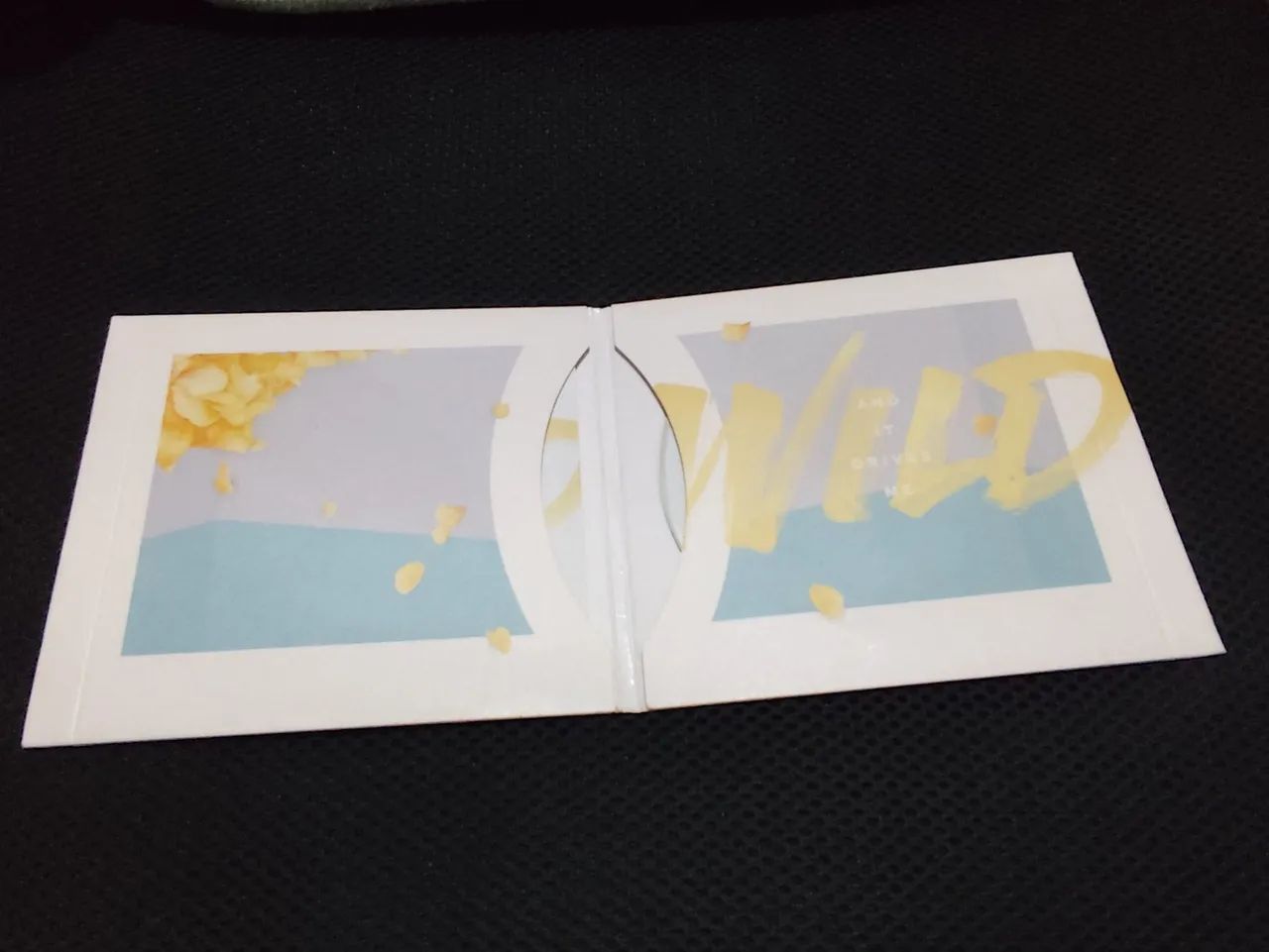 CD Troye Sivan - Wild EP // IMPORTADO - Foto 3