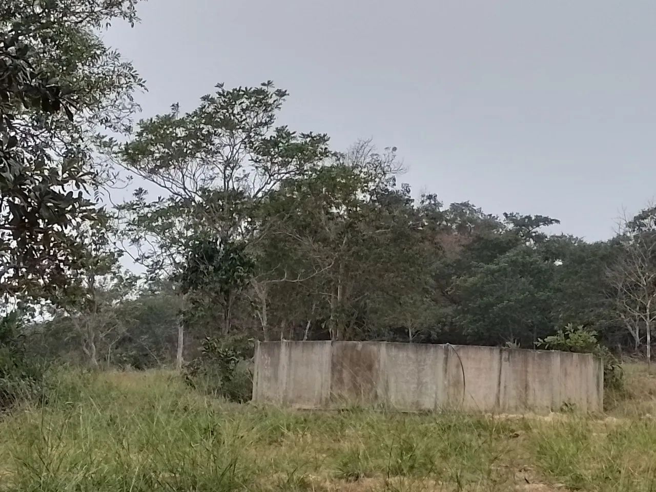 Fazenda de 93,4 hectares - Foto 2