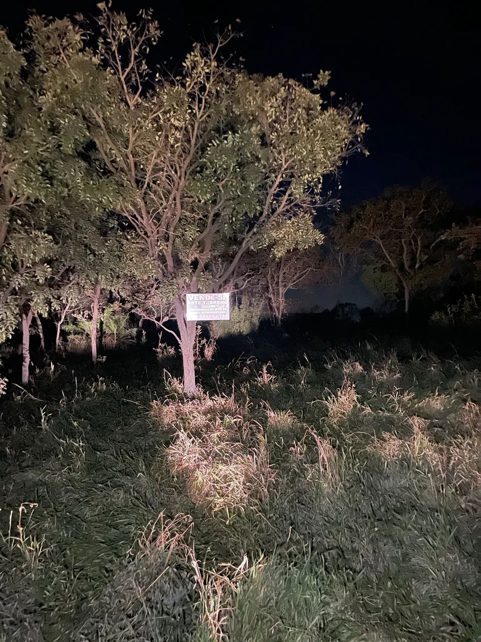 Foto - Belo Horizonte - Lagoinha