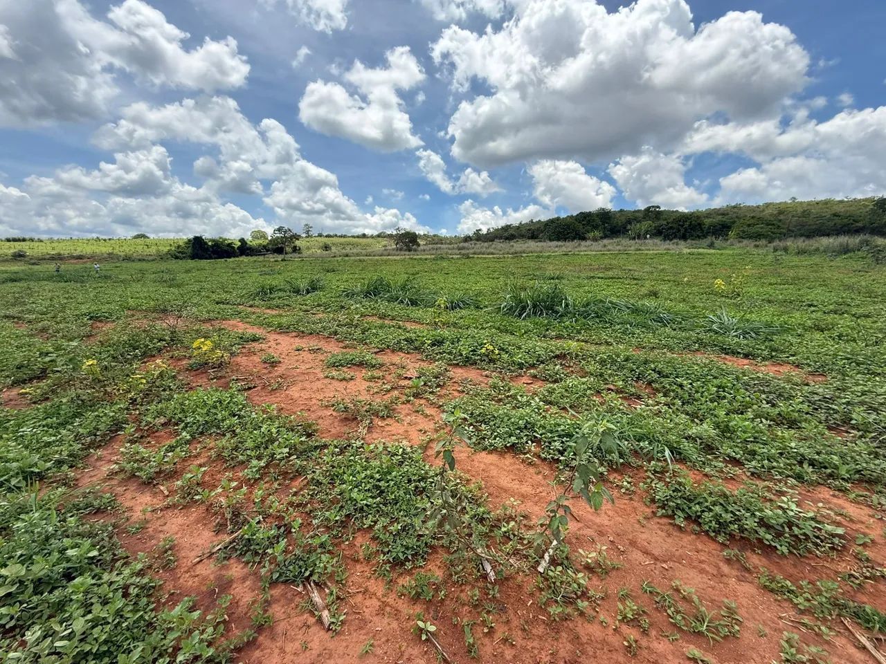 Fazendinhas rurais em florestal 