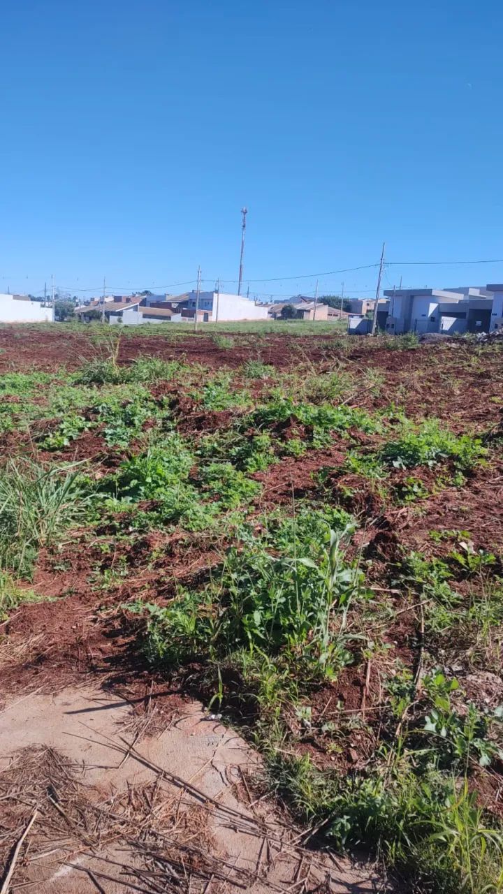 Terreno Padrão em Paiçandu