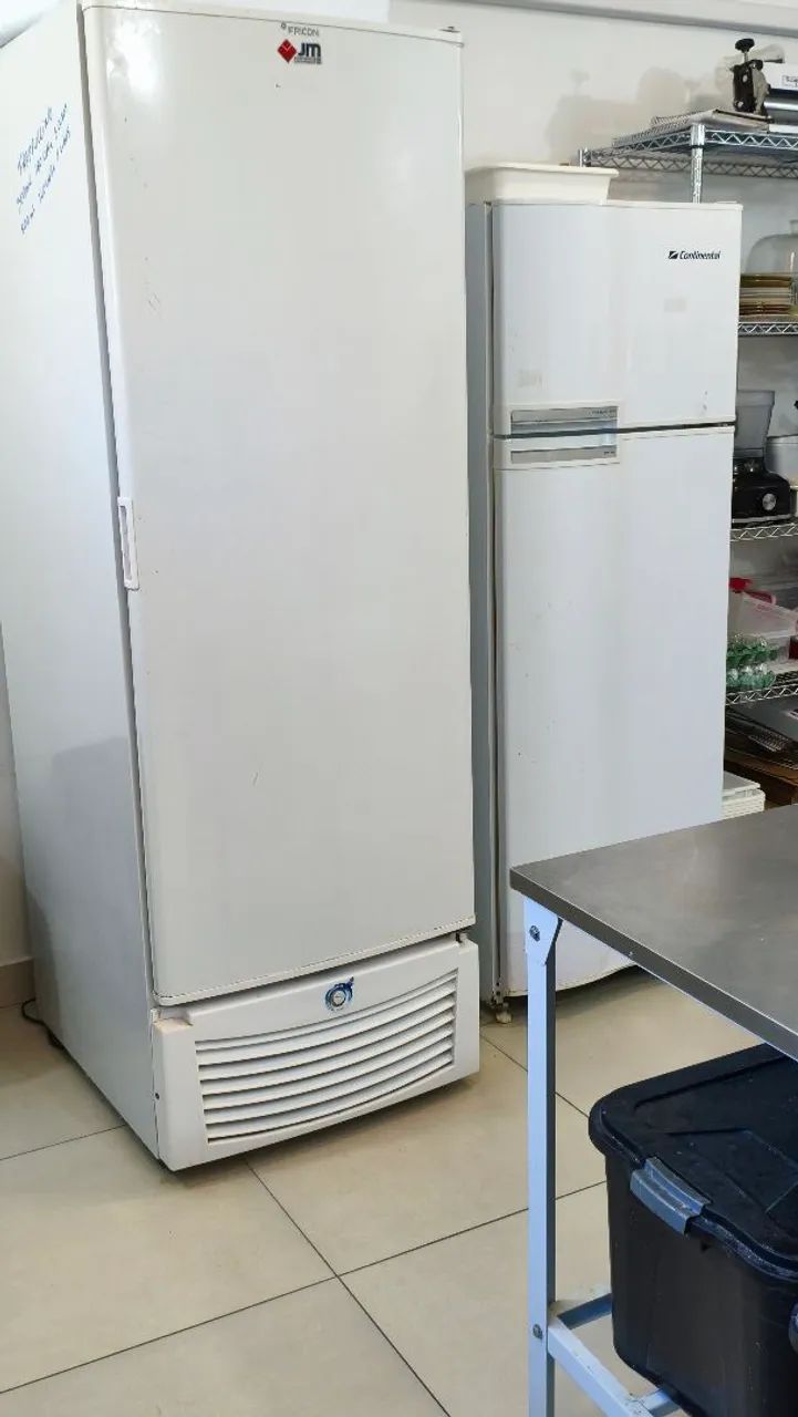 Freezer Vertical 