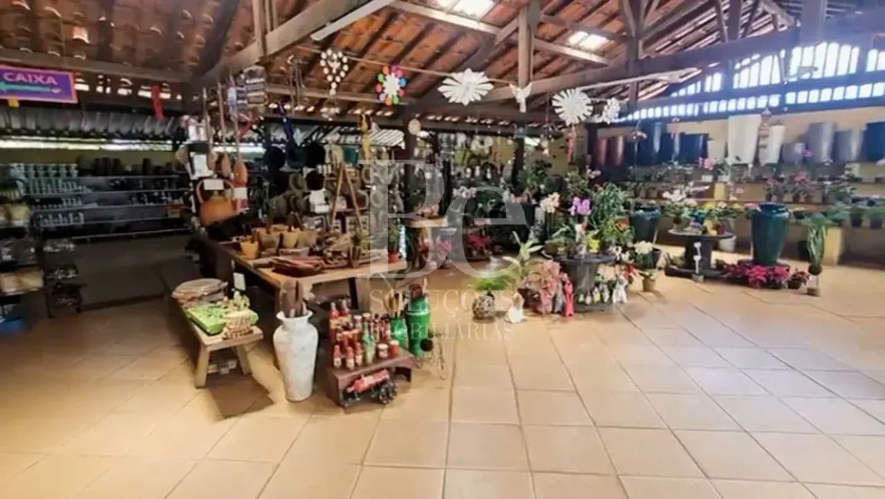 TERRENO  45.000 m² EM CAETANÓPOLIS VENDA - Foto 4