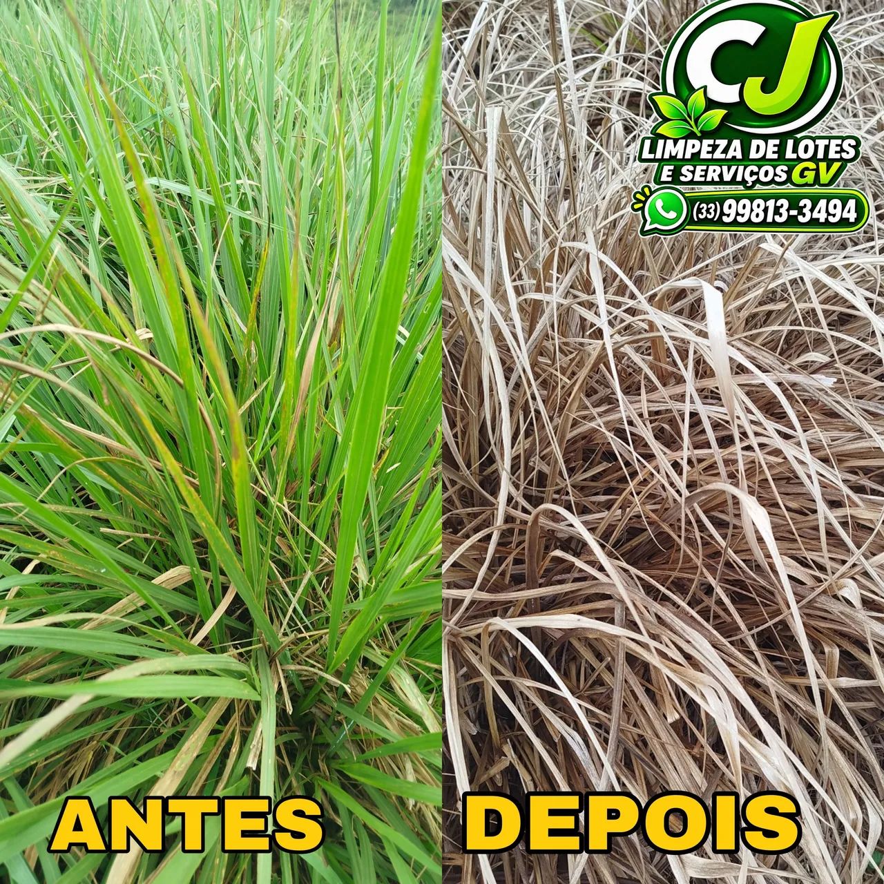 Limpeza de chácaras  - Foto 4