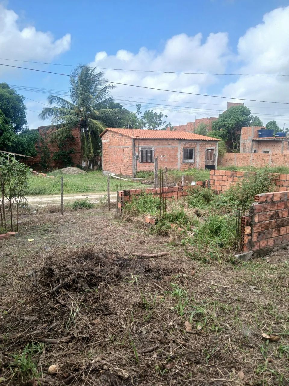 Terreno  - Foto 2