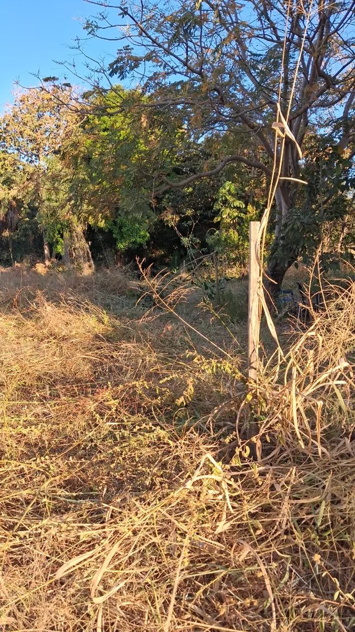 Lote morada do sol a 2 km da avenida tocantins  - Foto 5