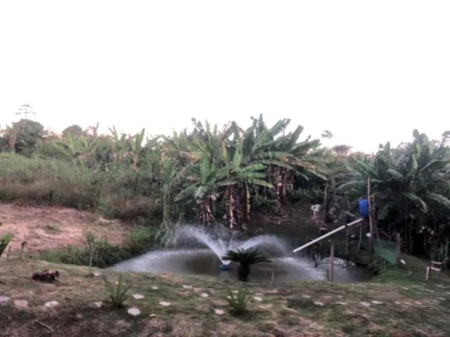 Venda-se nini chácara 