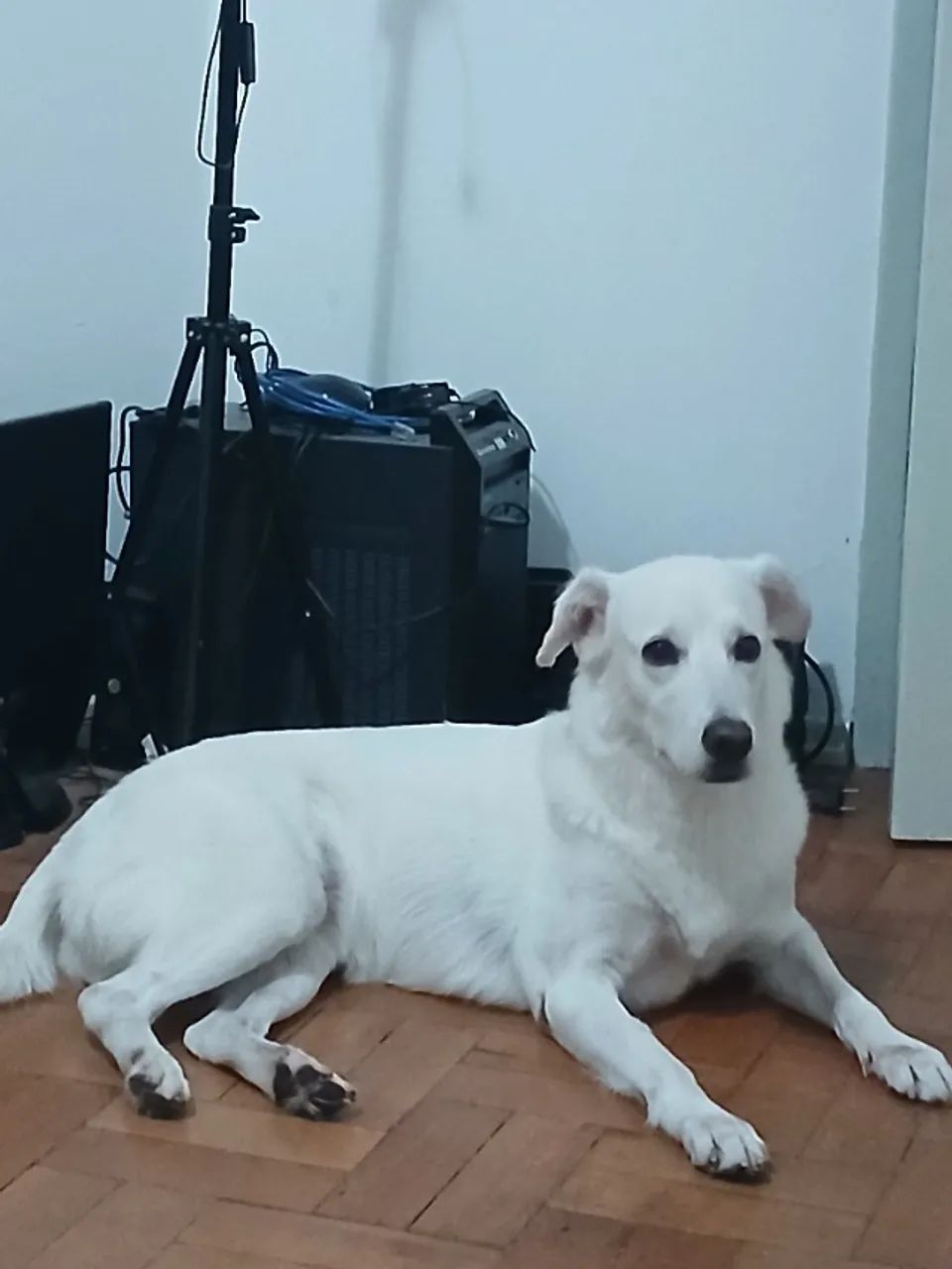 Doação  - Foto 2