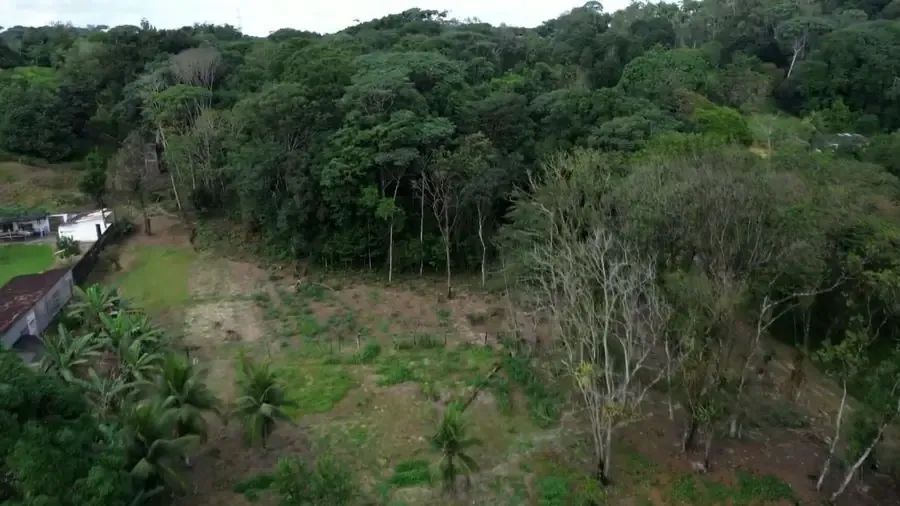 Chácara granja para vender em Recife e Paulista Pernambuco. - Foto 3