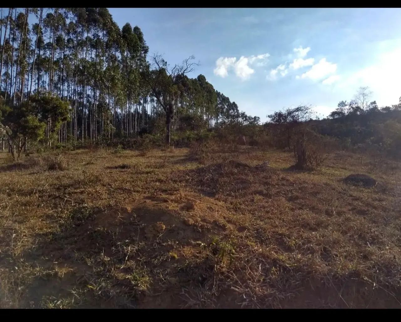 Terreno para chácara  - Foto 3