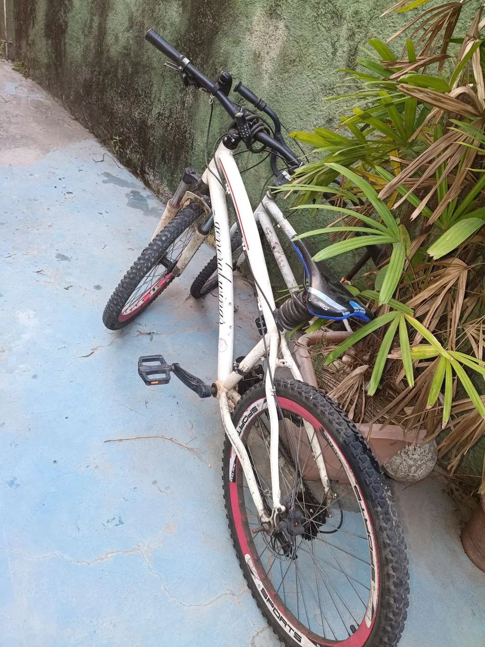 Vanda de bicicleta ? - Foto 4
