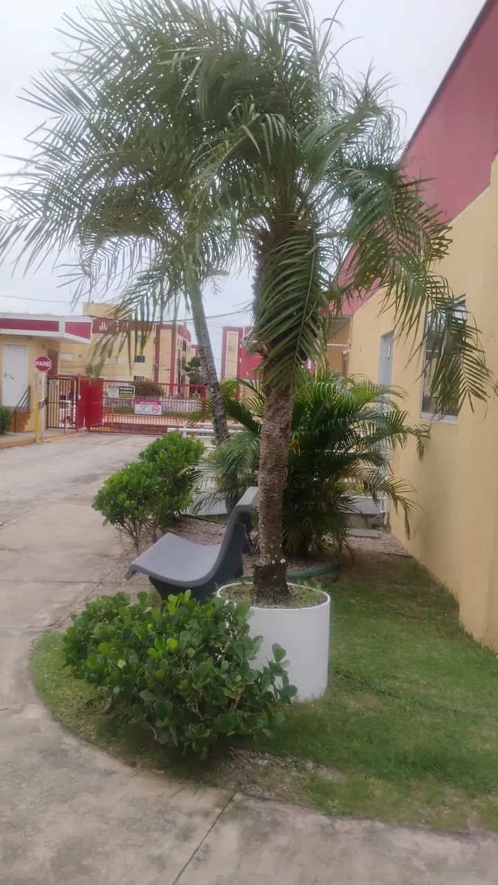 Apto. 3/4 alugar na coophab. - Foto 3