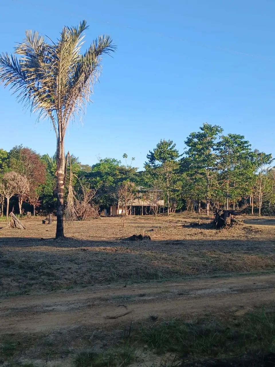 Sítio Ramal 104 km Sentido Humaitá  - Foto 4